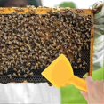 thumbnail image 3 of Honey Spatula Honey Extractor Honey Scraper Collecting Tool, 3 of 5
