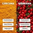 thumbnail image 4 of Berberina y Cúrcuma Cápsulas Vegetales 694 mg + 122 mg | Homodeus, 4 of 8