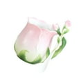 thumbnail image 3 of Taza de café con flores, taza de porcelana, taza para beber con cuchara, taza para beber, taza con rosas 3D, 3 of 9