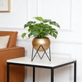 thumbnail image 6 of MMJ Metal Planter with Stand Decorative Floor Flower Pot Iron Drainage Holes 7.68x5.71in for Living Room, 6 of 6
