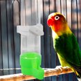 Automatic Bird Waterer Feeder Bird Water Dispenser Bird Feeder Parakeet