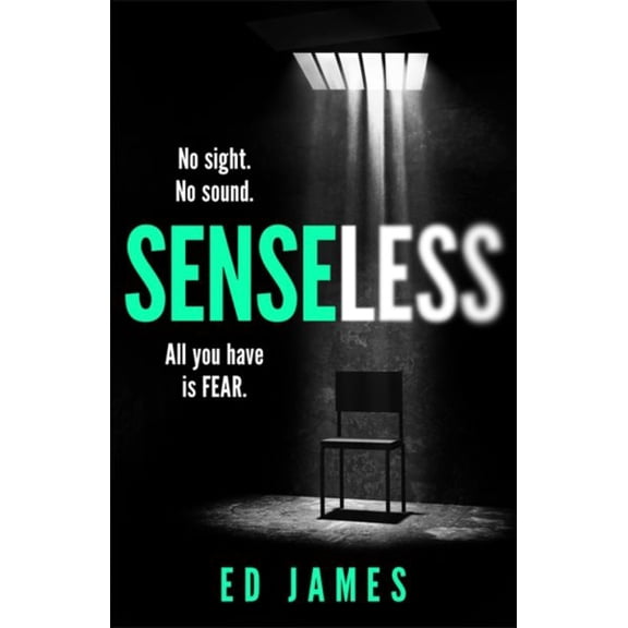 Pre-Owned Senseless (Paperback)