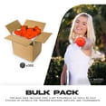 thumbnail image 2 of Franklin Sports X-40 Outdoor Pickleballs - Official Size - Ember - 100 Pack, 2 of 7