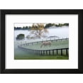 thumbnail image 2 of Horses in the Mist 3, Kentucky 08, Animals Framed Art Print Wall Art by Monte Nagler Sold by Art.Com, 2 of 5