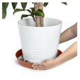 thumbnail image 5 of 16 Inch (14.25 Inch Base) Single Plant Saucer - Terra Cotta Colored Polypropylene - Heavy Duty Indoor/Outdoor Tray and Drip Pan - Collects Flower Pot Excess Water Made in USA, 5 of 8