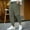 #Green, variant on DPTALR Men's Casual Striped Printed Elastic Waist Drawstring Breathable Ankle Pants with Pockets, Black Big and Tall Men L