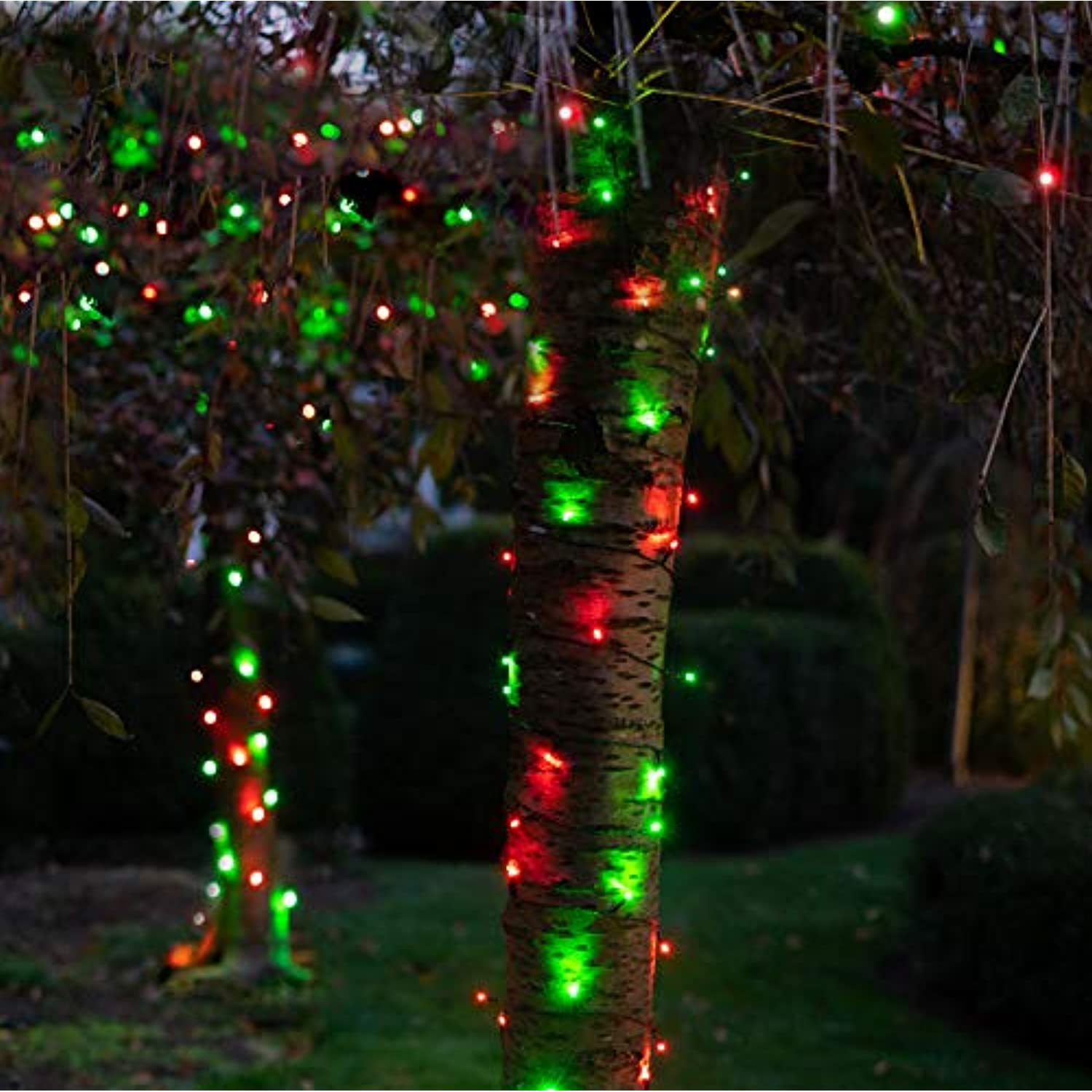 30%OFF SALE セール Solar String Lights 125 LED's, 68 Feet, Weather Resistant,  Two Lightin 通販