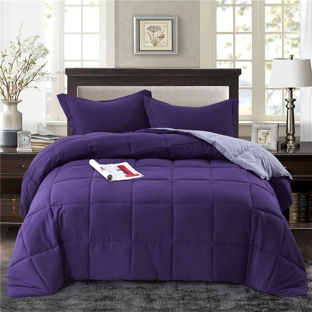 All Season Down Alternative Comforter Set 2pc Box Stitched Reversible
