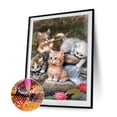 thumbnail image 4 of Kit 5D Cuentas Cuadradas Completas Gato Pared DIY Mosaico Artesanal, 4 of 9