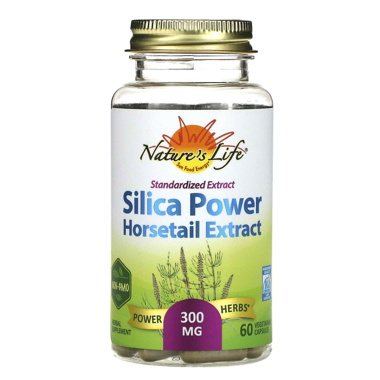 Nature's Herbs Standardized Extract SilicaPower , 300 mg, 60
