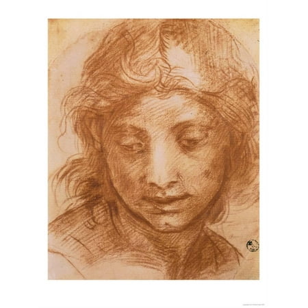 Uffizi Gallery - Head of a Young Woman, Drawing by Andrea Del Sarto, Uffizi Gallery, Florence Print Wall Art By Andrea del Sarto