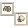 thumbnail image 1 of Gango Home Decor Coastal Shell Sketches Shiplap I & II by Wild Apple Portfolio (Ready to Hang); Two 12x12in Distressed Framed Prints, 1 of 5