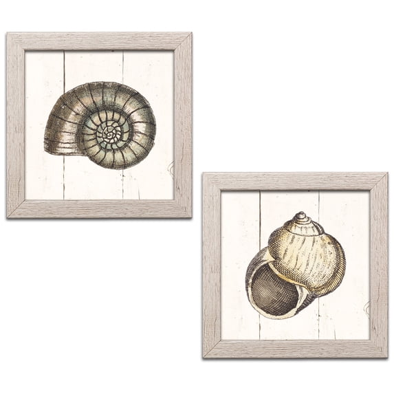 Gango Home Decor Coastal Shell Sketches Shiplap I & II by Wild Apple Portfolio (Ready to Hang); Two 12x12in Distressed Framed Prints