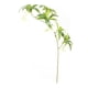 thumbnail image 1 of Vegetacia Artificial, Plástico de Tela de Vegetación Falsa y Alambre de Hierro Hainan Elaeocarpus para Boda, 1 of 7