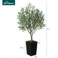 thumbnail image 3 of DR.Planzen UV Resistant 5ft Artificial Olive Tree in Black Large Planter with Pebbles– Faux Olive Tree for Indoor and Outdoor Decor, Lifelike Greenery for Home & Garden Decor, 3 of 10