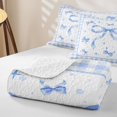 thumbnail image 4 of Manfei Light Blue Bows Checkered Print Bed Spread Queen for Girls, Cute Ribbon Bows Queen Coverlet Set, 4 of 7
