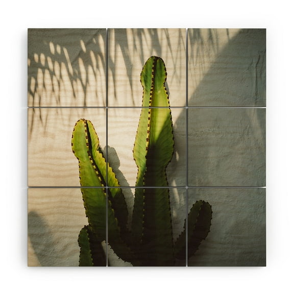 Society6 Bethany Young Photography Socal Shadows Wood Wall Mural 3' x 3'