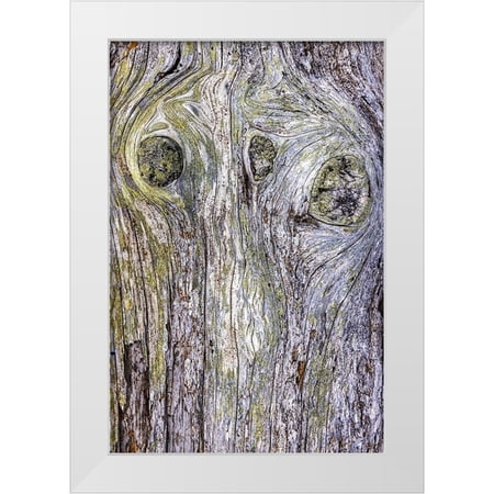 Jaynes Gallery 11x14 White Modern Wood Framed Museum Art Print Titled - USA-Washington State-Fort Flagler State Park Weathered driftwood close-up