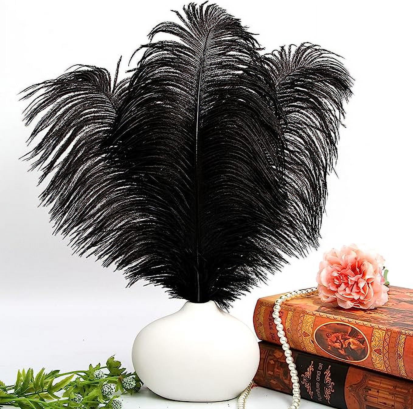 NAMZI 12pcs Black Bulk Natural Ostrich Feathers 16-18Inch (40cm-45cm), Perfect for Wedding, Party Centerpieces, Easter & Home Decoration