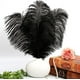 thumbnail image 4 of Xiao Hua Plumas de avestruz negras, 12 unidades, grandes, naturales, a granel, de 30 a 35 cm, para centros de mesa de bodas, fiestas, Pascua, Gatsby y decoración del hogar., 4 of 5