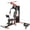 LX760, variant on Fitvids LX750 Multifunctional Full Home Gym System Workout Station with 122.5 Lbs Weight Stack, One Station, Comes with Installation Instruction Video, Ships in 5 Boxes