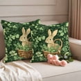 thumbnail image 2 of St. Patrick's Day Pillow Covers 2 Pack Rabbit Basket Pillowcase Waterproof Outdoor Throw Pillow Cover for Patio Garden Square Cushion 26”x26”, 2 of 9