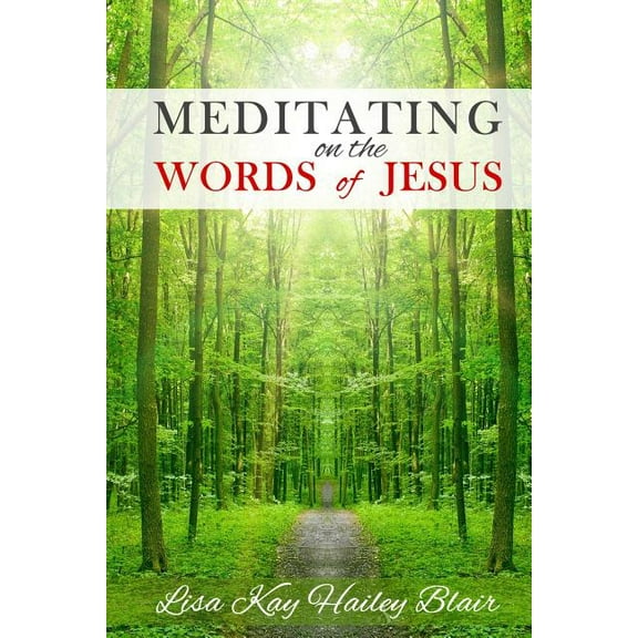 Meditating on the Words of Jesus (Paperback)