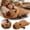 Brown, variant on Cotton Capybara Stuffed Animal Plush Pillow – Cute Hugging Companion, Vacuum Packed for Home Decor & Comfort, 50/70/90cm
