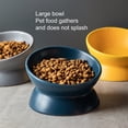 thumbnail image 4 of Tnobhg Elevated Dog Cat Food Bowl Smooth Easy to Clean Anti-Vomiting 15-Degree Raised Tilted Pet Water Bowl Pet Supplies, 4 of 8