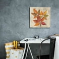 thumbnail image 4 of Epic Graffiti 'November Leaves I' by Silvia Vassileva, Canvas Wall Art, 18"x18", 4 of 8