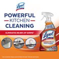 thumbnail image 3 of Lysol Antibacterial Kitchen Cleaner, Kitchen-Pro Power Degreaser, Unbeatable Grease Cutting, 650 mL, 3 of 8