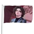 thumbnail image 1 of Timothée Bandera impresa con temática, regalo perfecto para fanáticos, amigos y familiares, y adecuada para actividades al aire libre e interiores, decoraciones de fiesta. 120*180CM, 1 of 6