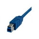 StarTech.com 6 ft Câble USB 3.0 SuperSpeed / 2M A à B - 1 - USB 3.0 A (Male) à 1 - USB 3.0 B (Male) (USB3SAB6) - Câble USB - Type USB A (M) à USB Type B (M) - USB 3.0 - 6 ft - Bleu - pour StarTech.com 4 Ports – image 1 sur 3