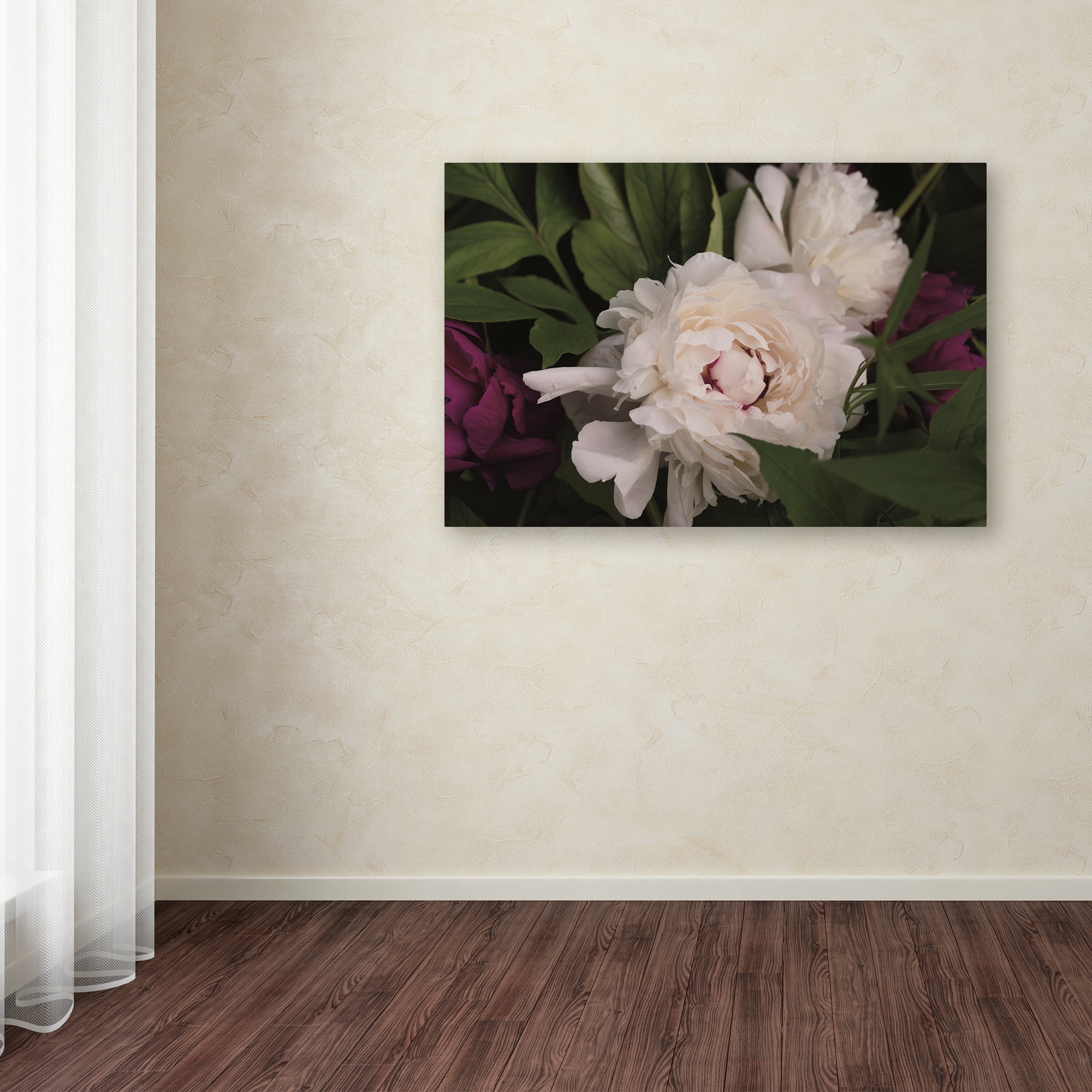 Trademark Fine Art 'Peonies I' Canvas Art by Brookview Studio