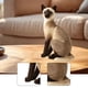 thumbnail image 4 of Peluche de gato realista, muñeco de peluche suave, adorno para el hogar, simulación de gatito Estilo B, 4 of 6