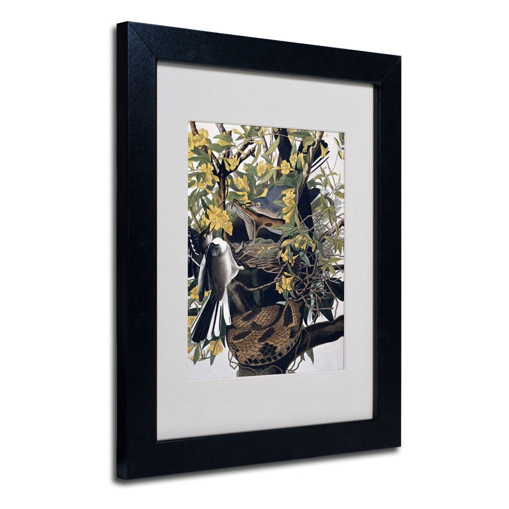 Trademark Fine Art "Mocking Birds and Snake" Canvas Art by John James Audubon, Wood Frame