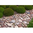 thumbnail image 2 of Rita Crane 24x18 Gallery Wrapped Canvas Wall Art Titled - Garden Glimpse VIII, 2 of 4