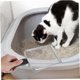 thumbnail image 3 of Cat Litter Scoop Stainless Steel Mesh Tool for Efficient Waste Separation, Deep Sifting, Durable and Reliable for Pet Owners, 3 of 5