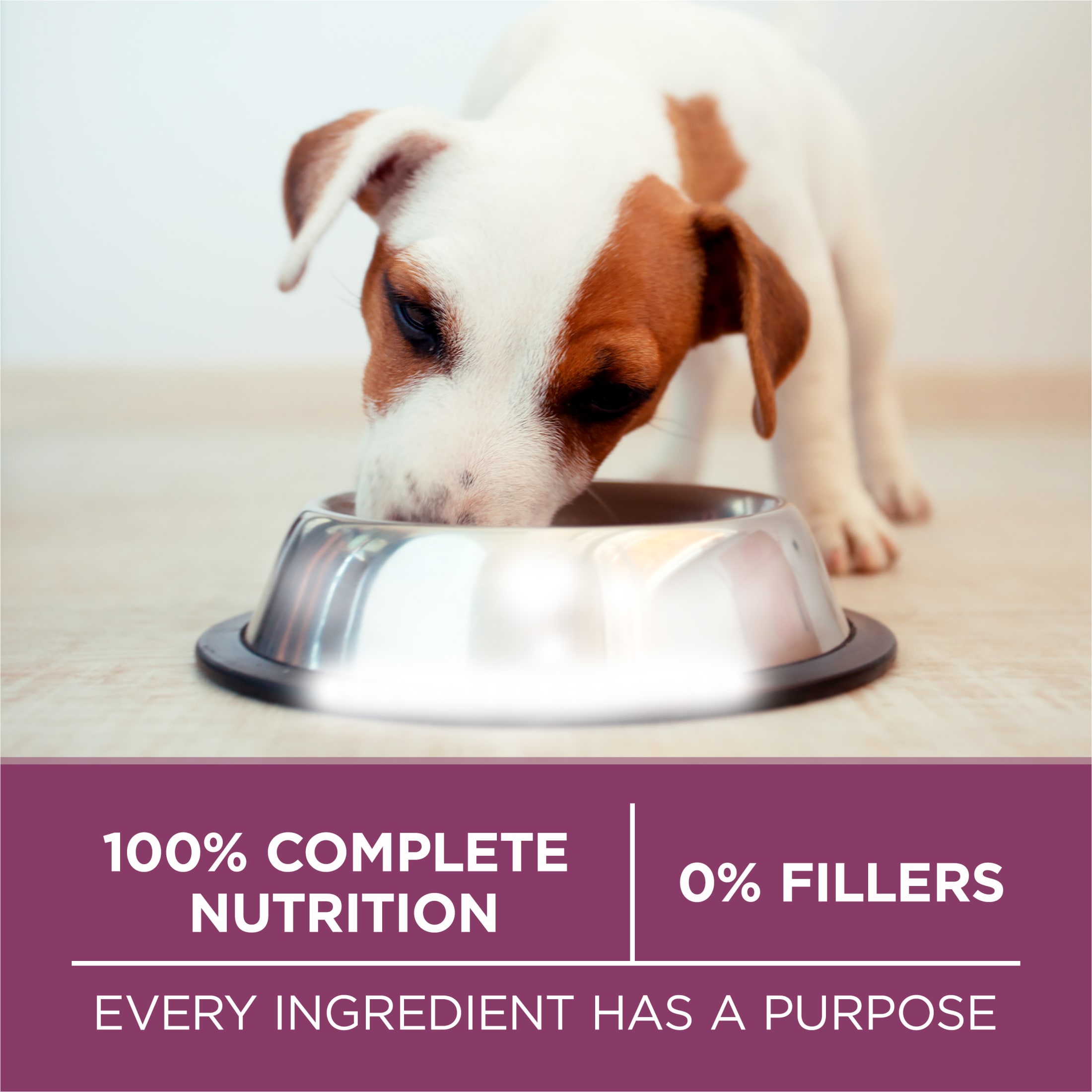 Purina ONE Natural High Protein Dry Puppy Food, 31.1 lb photo 8