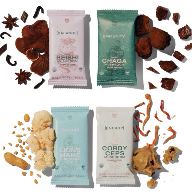 Functional Mushroom Protein Bars Full Dose (1500mg) Lions Mane, Chaga