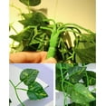 thumbnail image 3 of 2 Bunch Artificial Silk Ivy Leaf Garland Plant 90cm Vine Fake Foliage Garden Office Wall Outdoor Hanging Plants Decor, 3 of 8