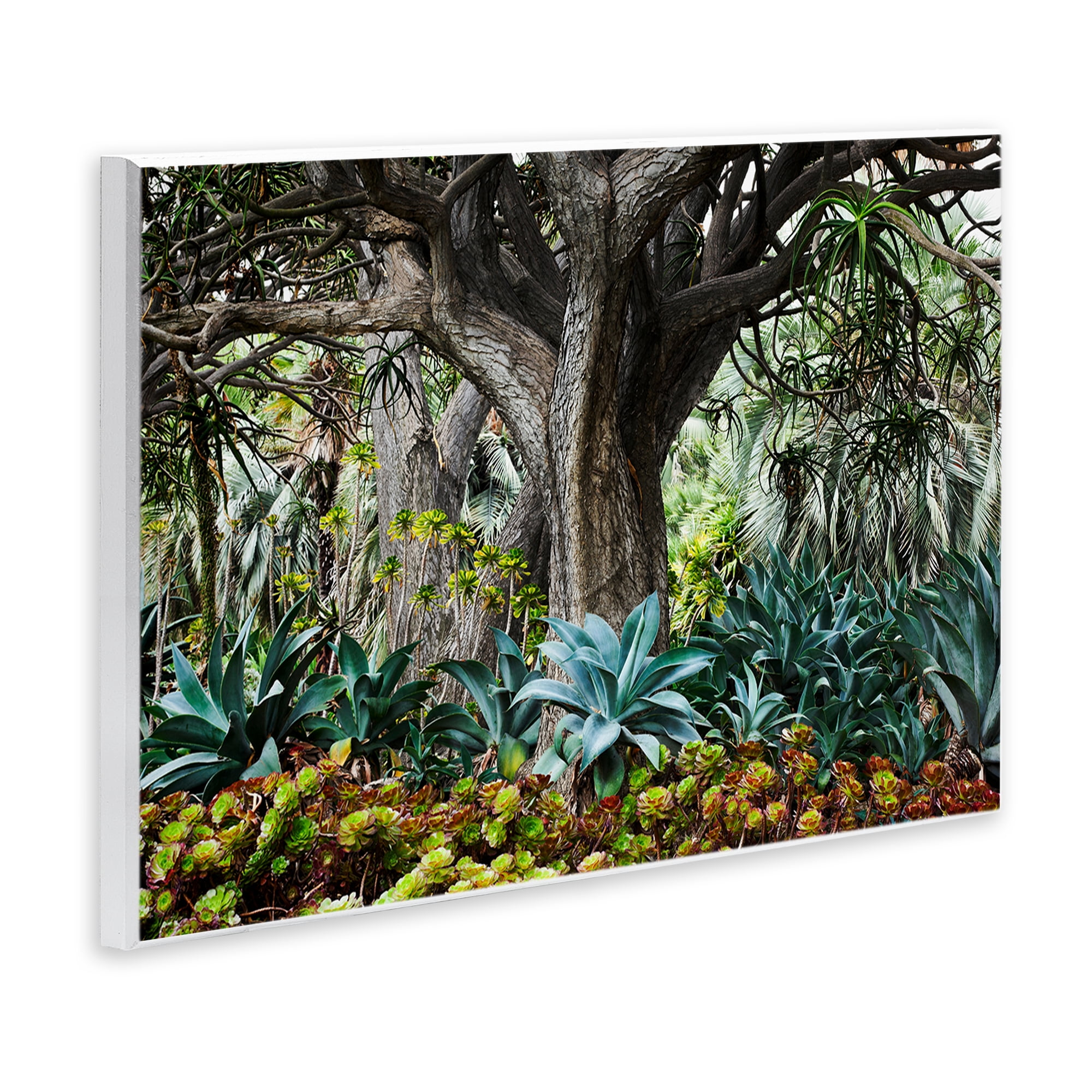 Stupell Industries Lush Tropical Vegetation Landscape & Nature Photography Unframed Art Print Wall Art, 19 x 13