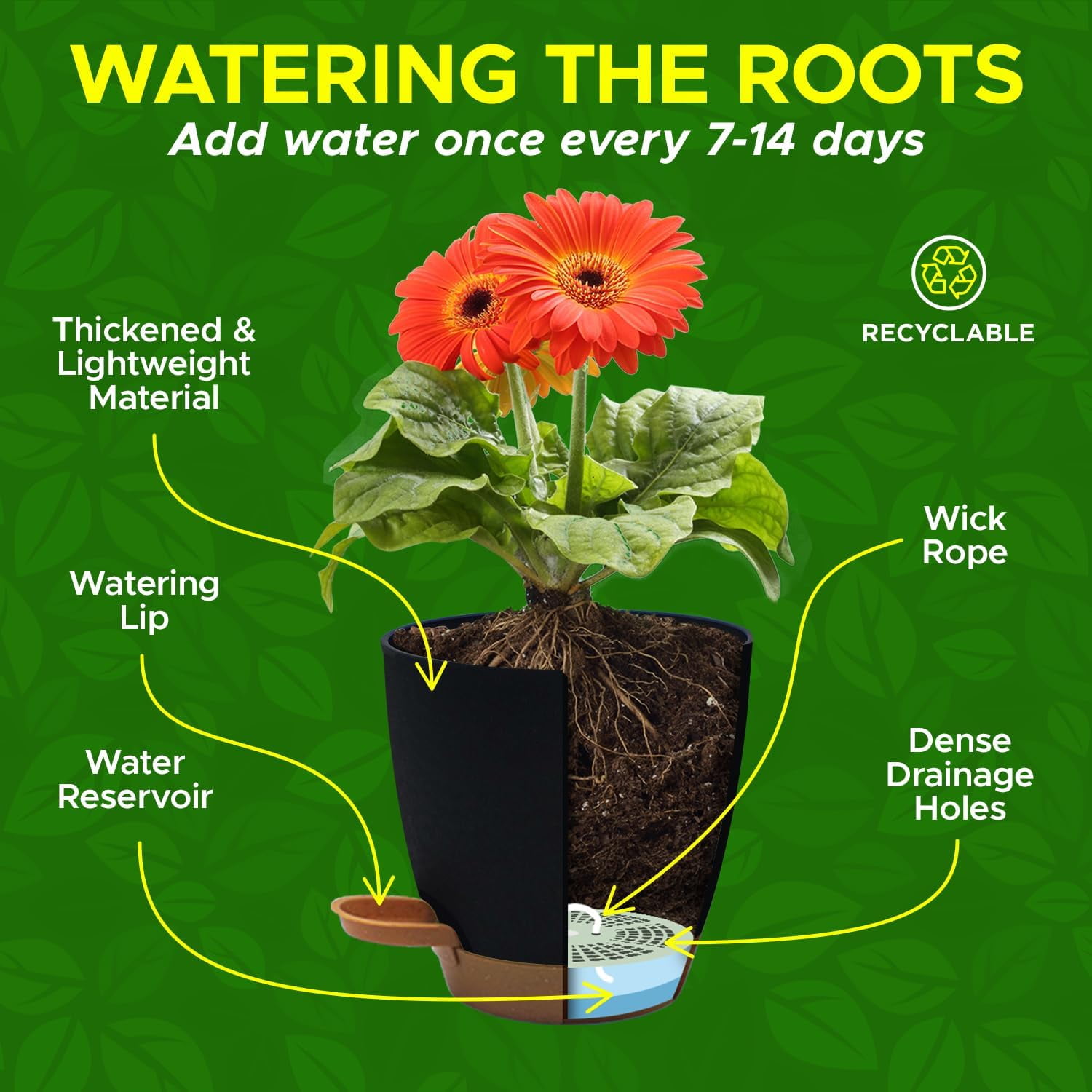 Campior Self-Watering Planters, 5 Sizes with Drainage Holes & Wick Rope, Pack of 20, Black