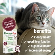 HomeoPet Feline KIDNEY RESCUE, Kidney Function Support Drops for Cats, 15 mL