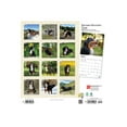 thumbnail image 2 of BrownTrout: Bernese Mountain Dogs Square Wall Calendar, Book 2022 (Other), 2 of 2