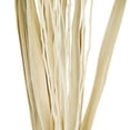 thumbnail image 4 of 50" Tall Dried Plant Natural Foliage Bouquet with Leaves, by DecMode, 4 of 9