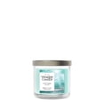 thumbnail image 2 of Yankee Candle Small Tumbler Scented Single Wick Jar Candle, Catching Rays, 4.3 oz (Pack of 2), 2 of 8