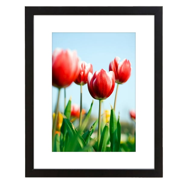 9x12 Black Picture Frame Displays Photos 6x8 with Mat