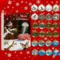 thumbnail image 6 of BingTong Animal Christmas Advent Calendar 2026 - Countdown Calendar Boxes With 24pcs Clear Acrylic Animal Ball Pendants, Hanging Ornaments for Collectors Xmas Tree Decor E, 6 of 6