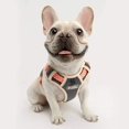 thumbnail image 3 of Harnais pour Chien, Harnais pour Chat, Fournitures pour Animaux de Compagnie (Sans Fil), 3 of 3